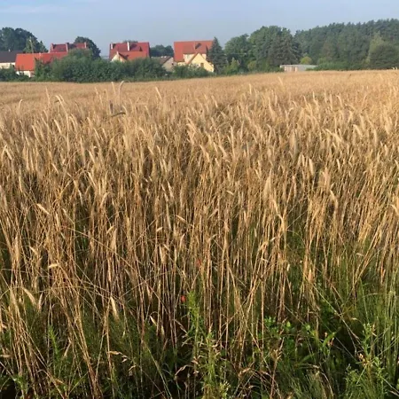 Tumidaj 別荘 Bogacko